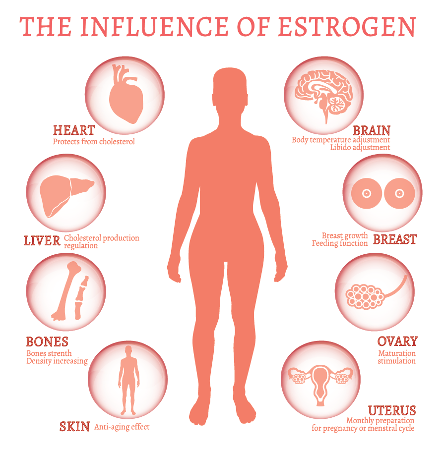 Influence of Estrogen Chart