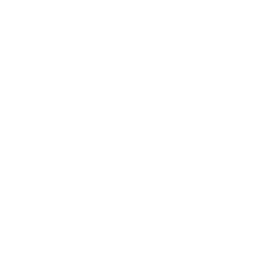 Sexual Wellness