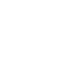 Aesthetics